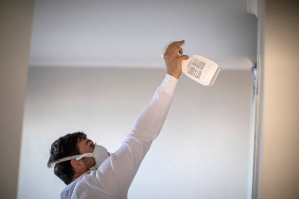 Best Bathroom Mold Remediation in Barberton, WA