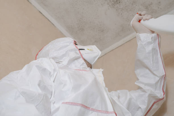 Barberton, WA Mold Remediation Company