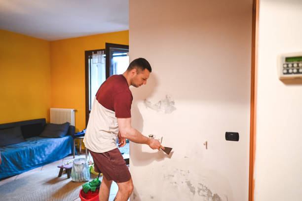Trusted Barberton, WA Mold Remediation Experts